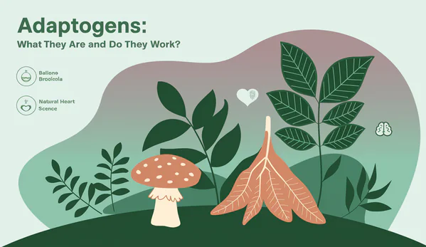 Adaptogens: What They Are and Do They Work?